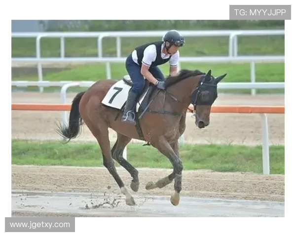 我们全力争胜竞逐最高竞技水准 我们全力争胜竞逐最高竞技水准